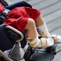 � 2022 ���� ��������� ������ �������� ��� ����� �� ������-���������� ����� ��-������