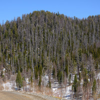 Создание территорий опережающего социально-экономического развития могут ускорить