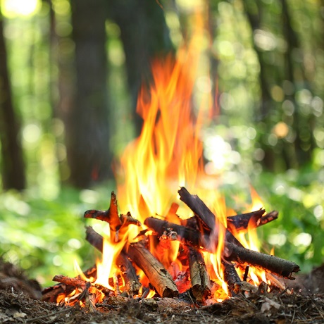 Уточнены основания административной ответственности за нарушение правил пожарной безопасности в лесах
