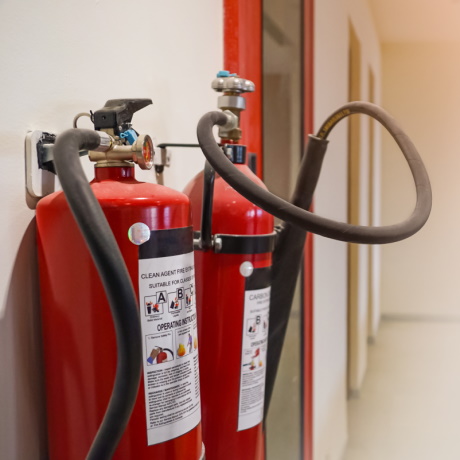 ��� ������ ����������� �������� ����� ������ ��������� ���������� �������� ������������