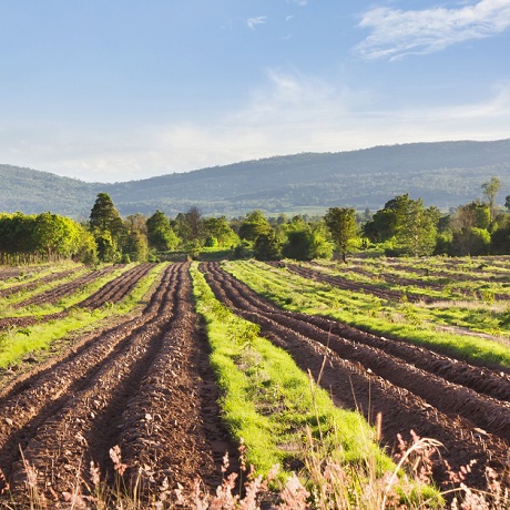 ��� ������ ���������� � ���������� ����������� ���������, ���������� � 1 ������ 2019 ����