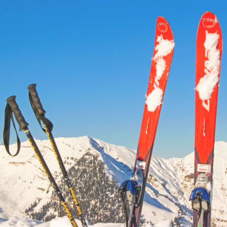 Декларации по туристическому налогу будут принимать и до вступления в силу формы