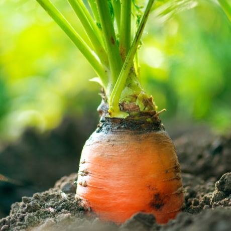 ������������ ��������� ������������ �����, ���������� ������ ���������� �����, �� � ������ ��������� ������ �����