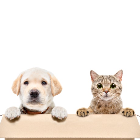 ������ �� �������� ��������� � ��������� ����� �������� �� 30 ���. ���.