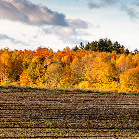 Пострадавшие от обстрелов сельхозпроизводители сохранят налоговые льготы