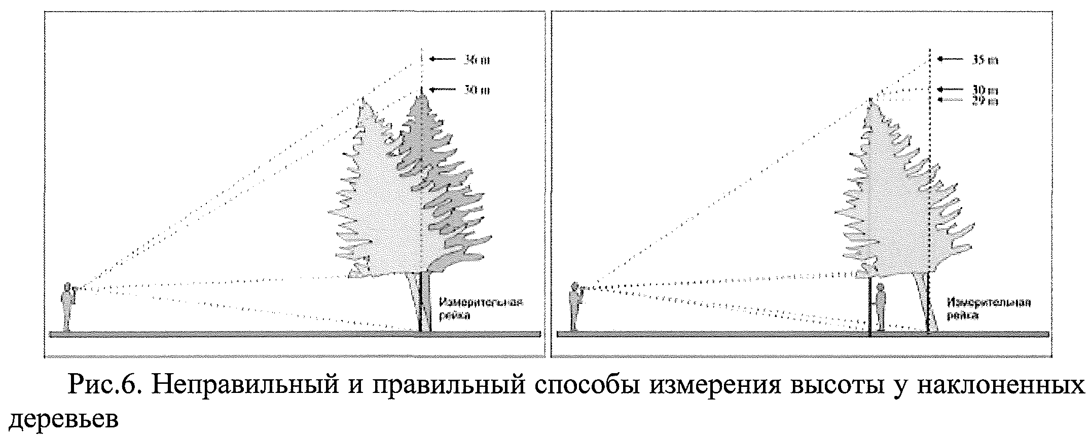 какой наклон в сторону лесов. защитный козырек на строительных лесах. лестница угол наклона ширина ступени. правильная валка дерева. как рассчитать угол наклона металлической лестницы.