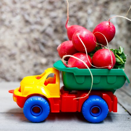 �������� ����� ����� ��������� ���������� ��������������� ��������� ��������������