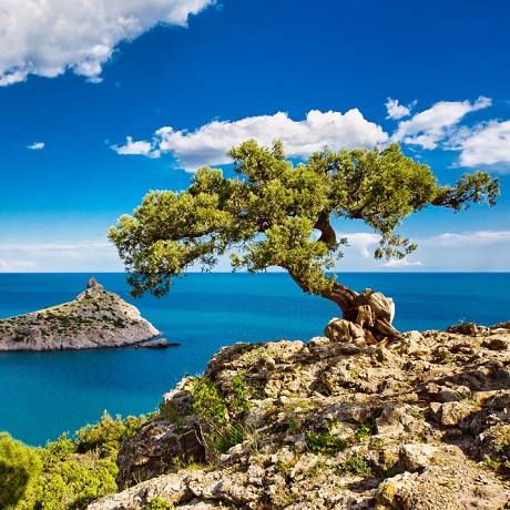 ����� ���������� ����� �� ���������� � ���� �� ��� � � ������ ����������